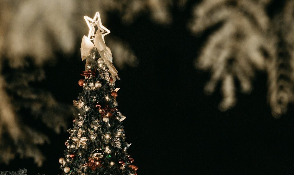 a small white bird on a tree